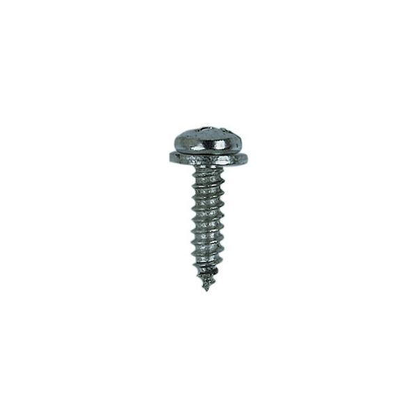 [1891 55 25] Plate DIN 7981 screws and washers, 5,5 x 25,0 mm
