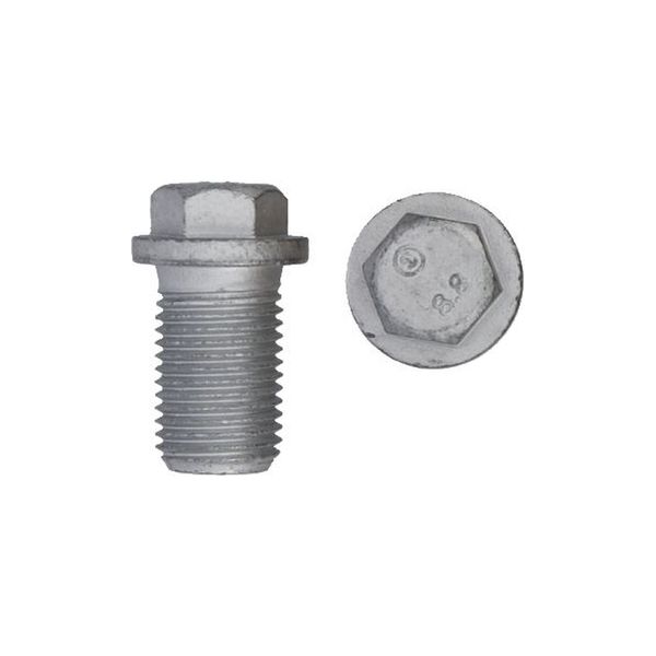 [1139 2 14 2] Oil-drain plugs, M14 x 1,50 x 24,0 SW13